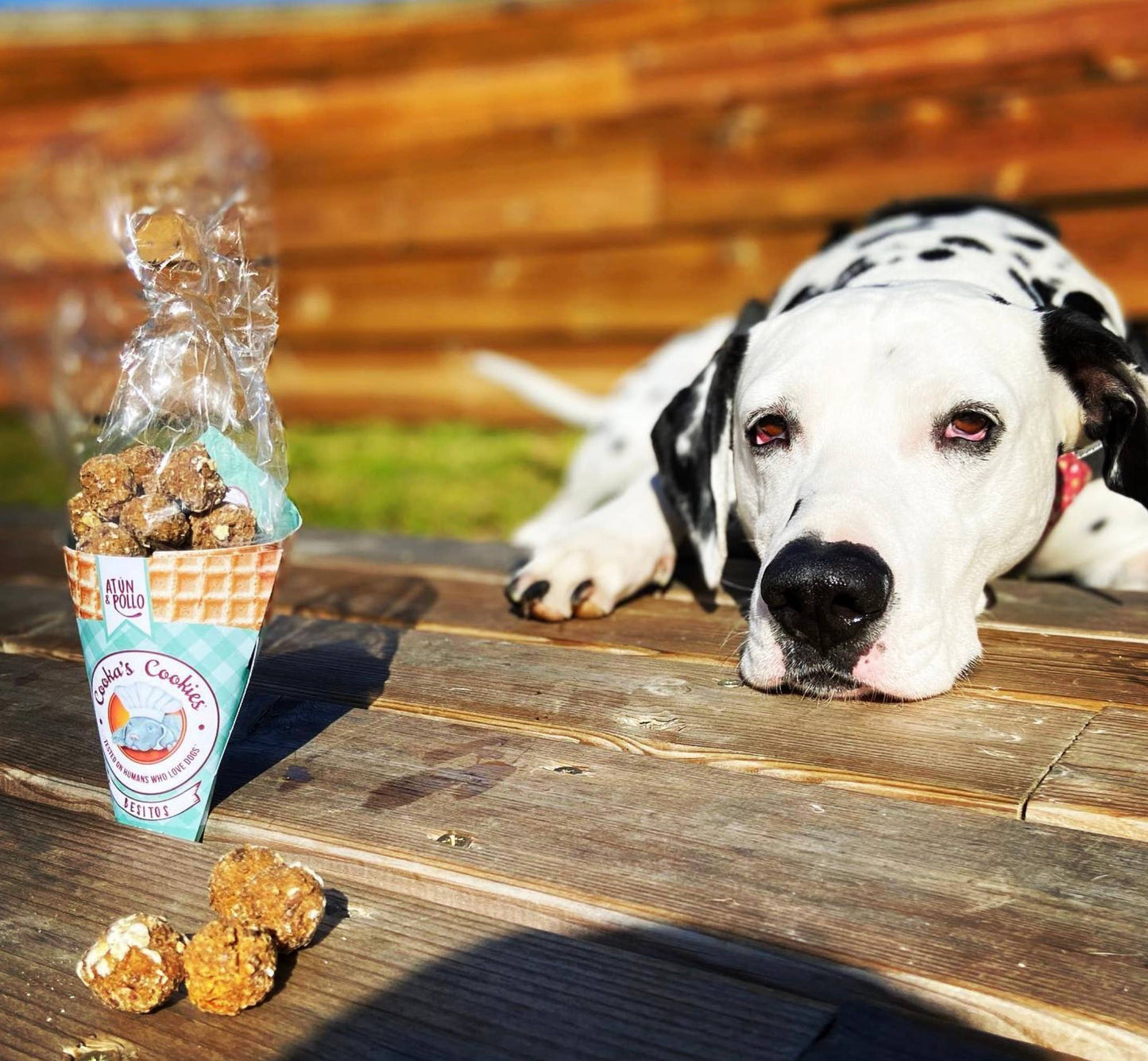 Beijinhos - Knapperige en natuurlijke hondensnoepjes met kip en tonijn