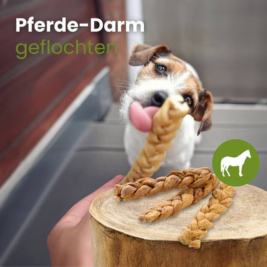 Paardendarm, gevlochten