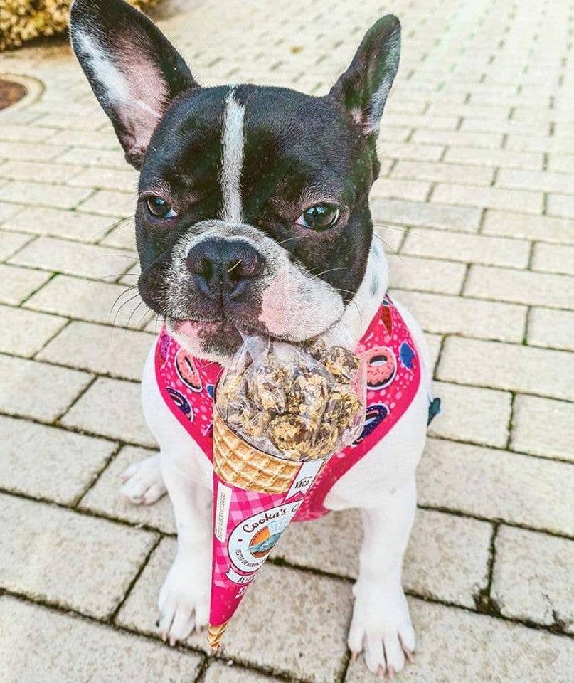 Beijinhos de Vaca - Knapperige en natuurlijke rundvleessnoepjes voor honden