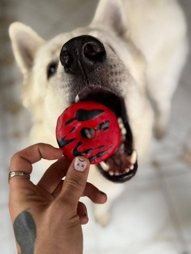 Vampire donuts - Halloween-snoepjes voor honden