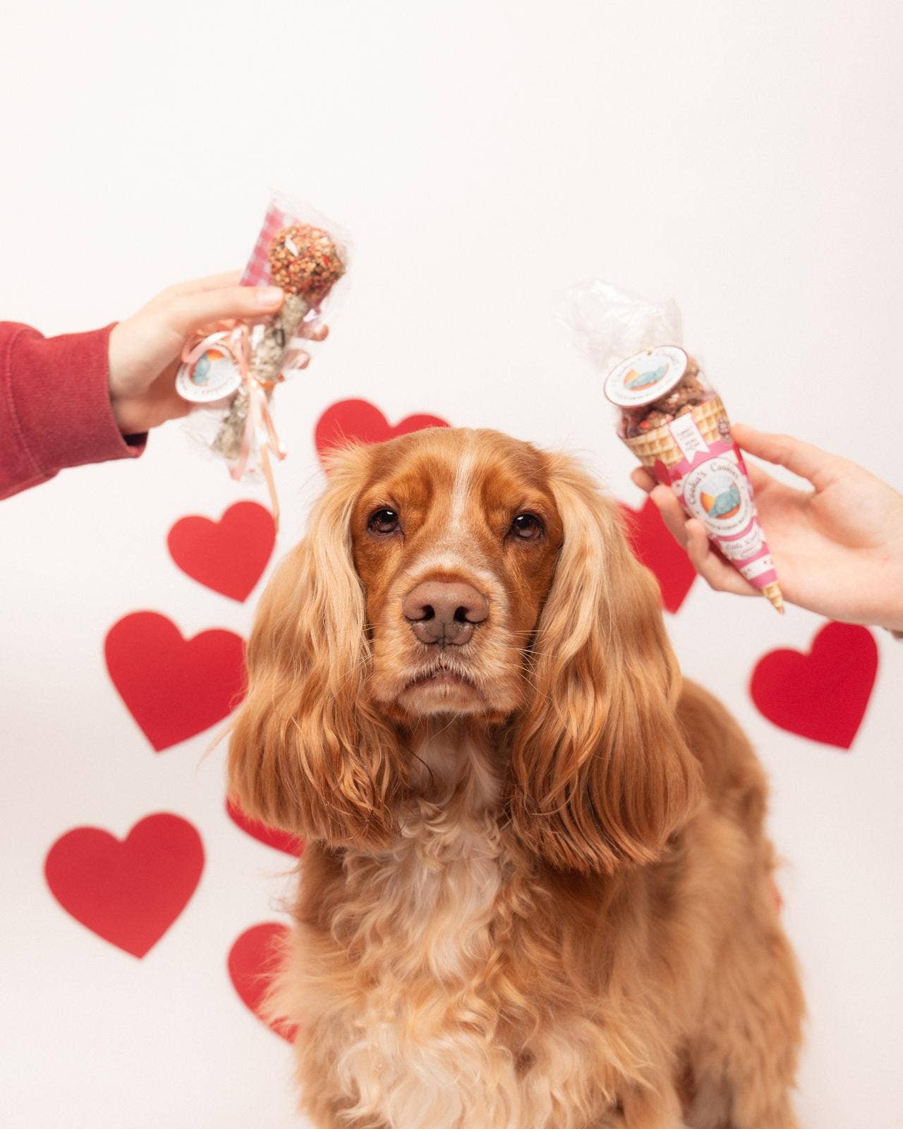 Roze kusjes - Kalkoen & Tonijn Hondensnacks