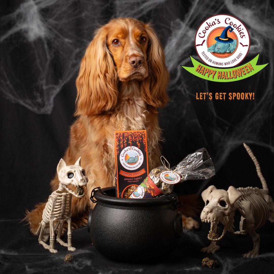 Vampire donuts - Halloween-snoepjes voor honden