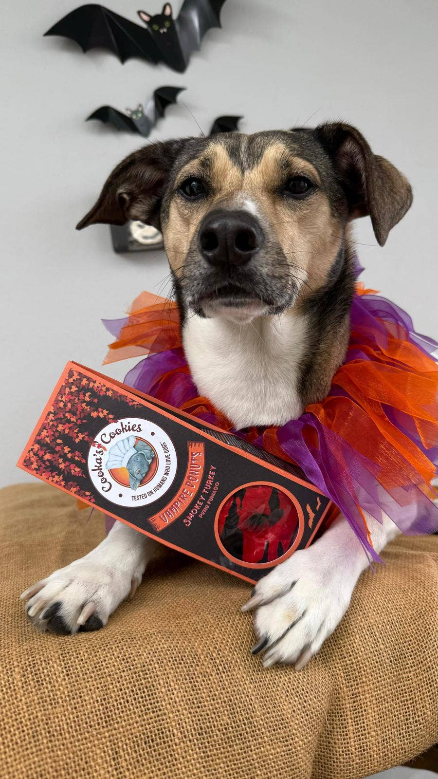 Vampire donuts - Halloween-snoepjes voor honden