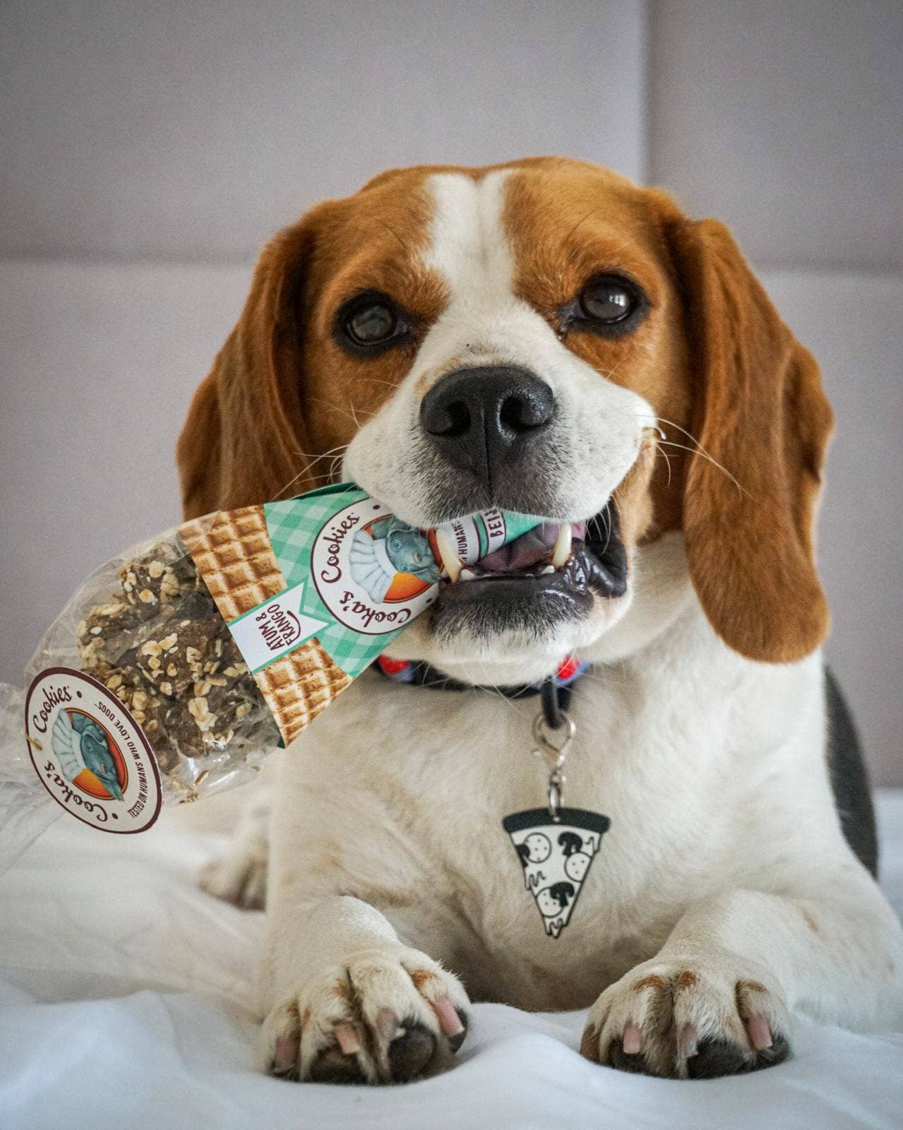 Beijinhos - Knapperige en natuurlijke hondensnoepjes met kip en tonijn