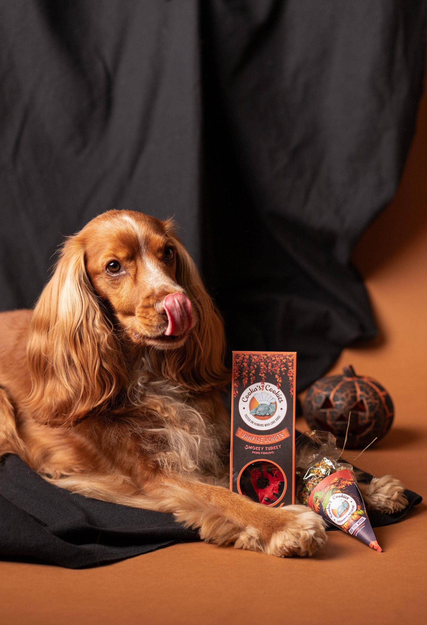 Vampire donuts - Halloween-snoepjes voor honden