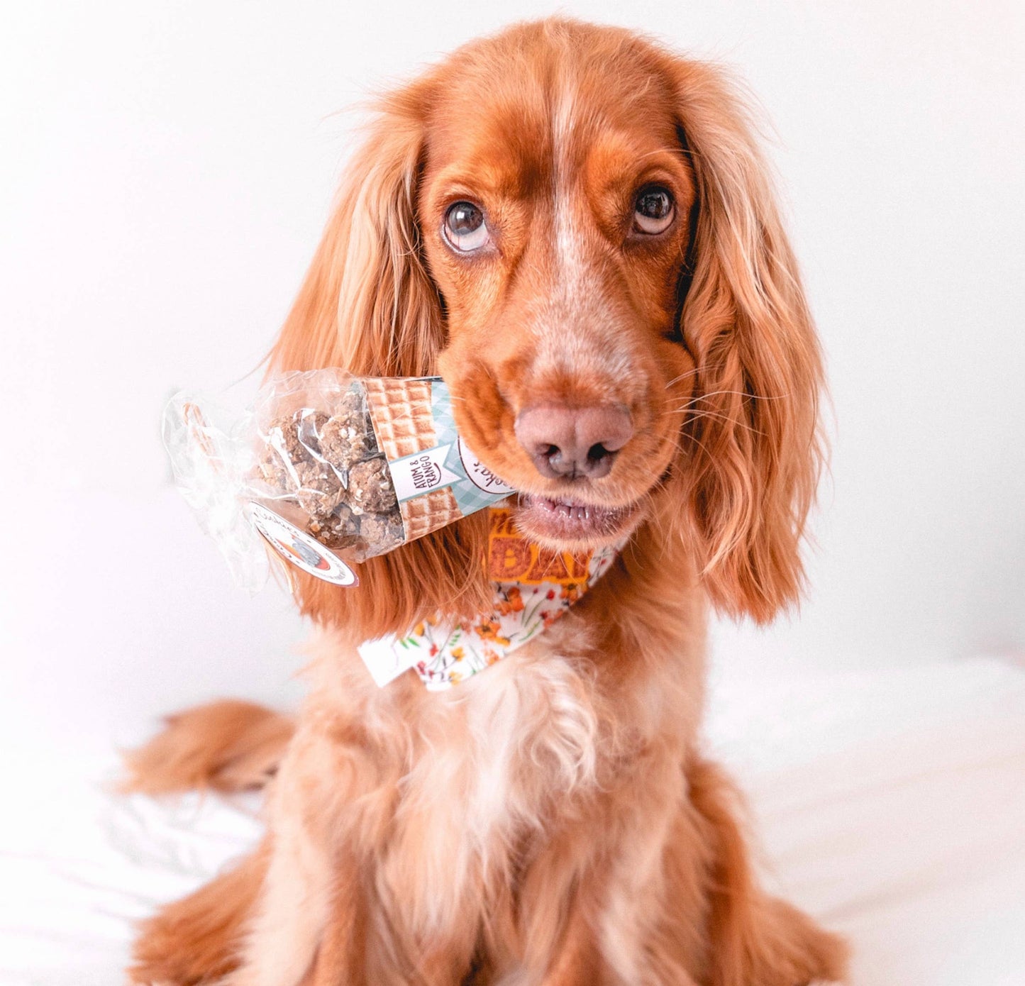 Beijinhos - Knapperige en natuurlijke hondensnoepjes met kip en tonijn