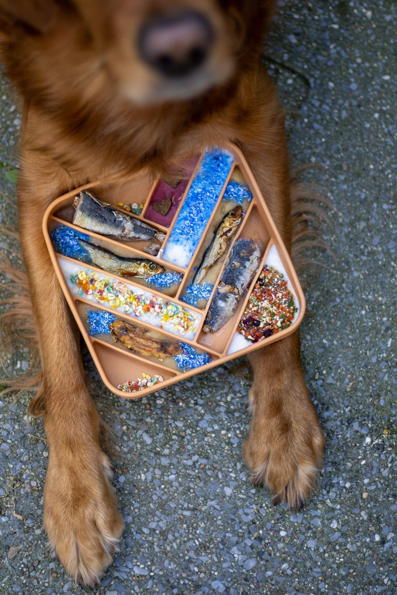 Mermaid Dust - Maaltijdtopper voor katten en honden