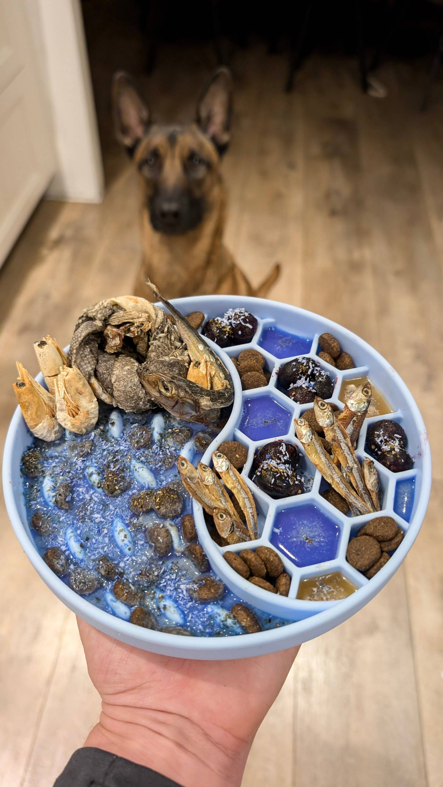 Mermaid Dust - Maaltijdtopper voor katten en honden