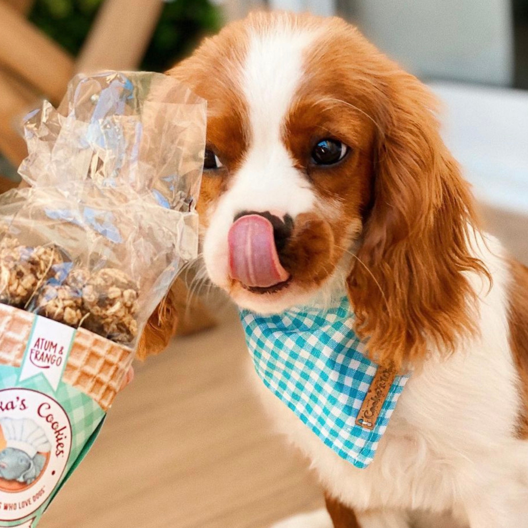 Beijinhos - Knapperige en natuurlijke hondensnoepjes met kip en tonijn