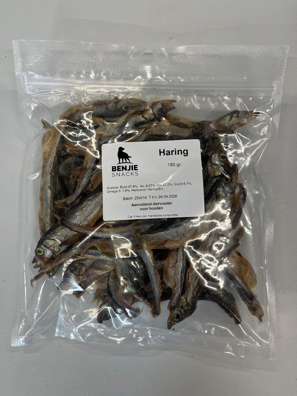 Benjie haring