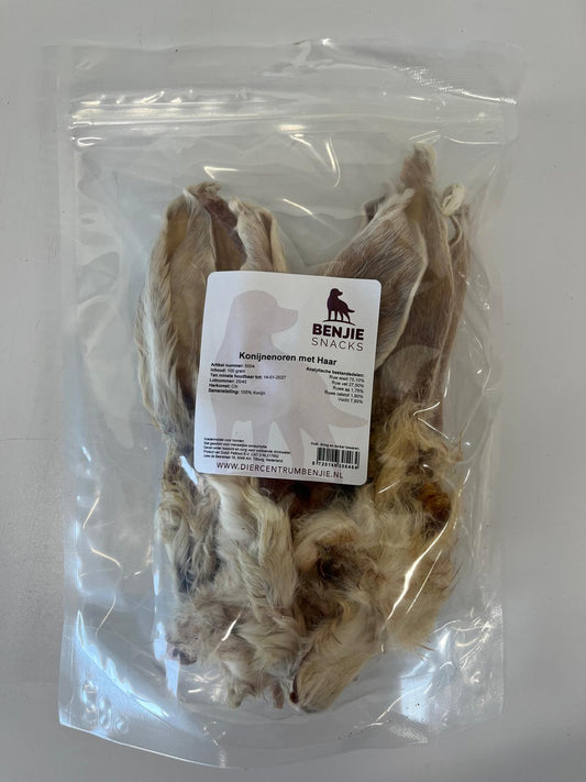 Benjie konijnenoren met haar