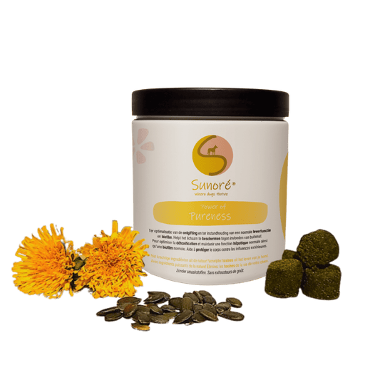 Power of Pureness – leverondersteuning en gezonde biofilm voor honden